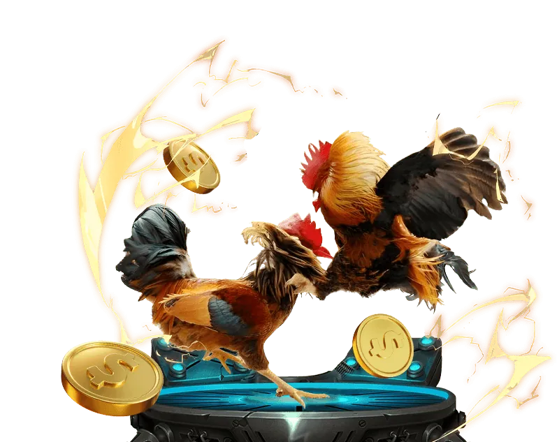 Đa dạng trò chơi cá cược tại viva bong88 net